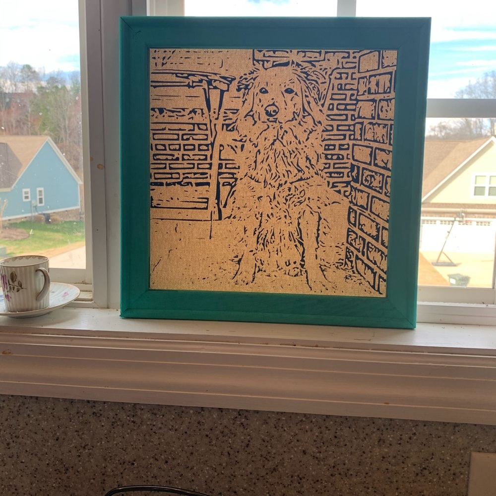 Pet portrait